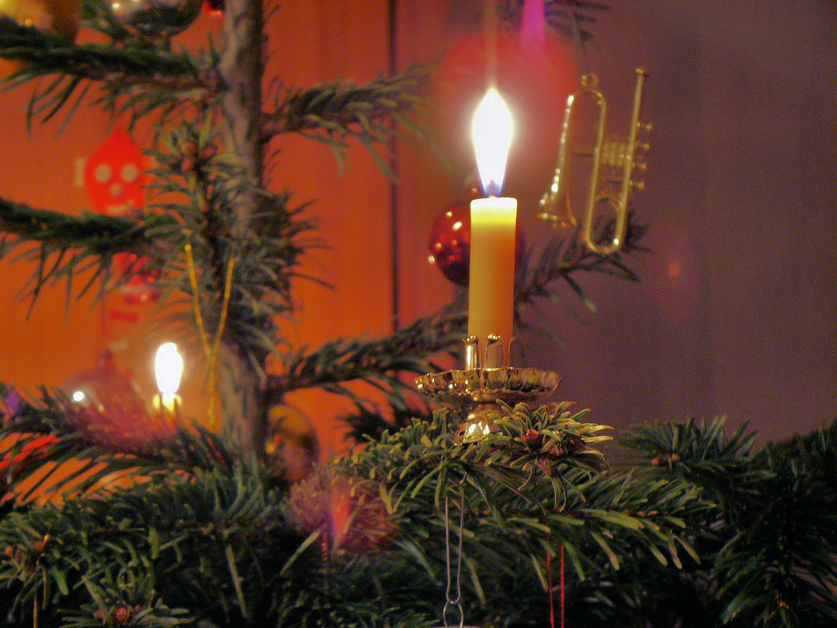 Carols for All, Saturday 13 December, 2025, 5pm at Christ Church, St Leonards